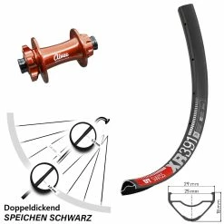 Dt-swiss 29 Zoll Vorderrad Aivee Edition One 15x110 Mm DT Swiss XR 391
