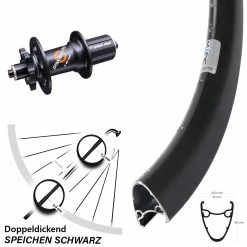 DT Swiss 350 Ryde Dutch 19 Hinterrad 28 Zoll 11-fach