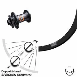 28-29 Zoll Laufrad Ryde Rival 19 Mit DT Swiss 350 SL Nabe 15x100 Mm