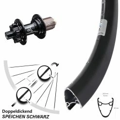 Ryde Dutch 19 Disc-Hinterrad 28-29 Zoll Mit KX-M 6-loch Nabe Steckachse
